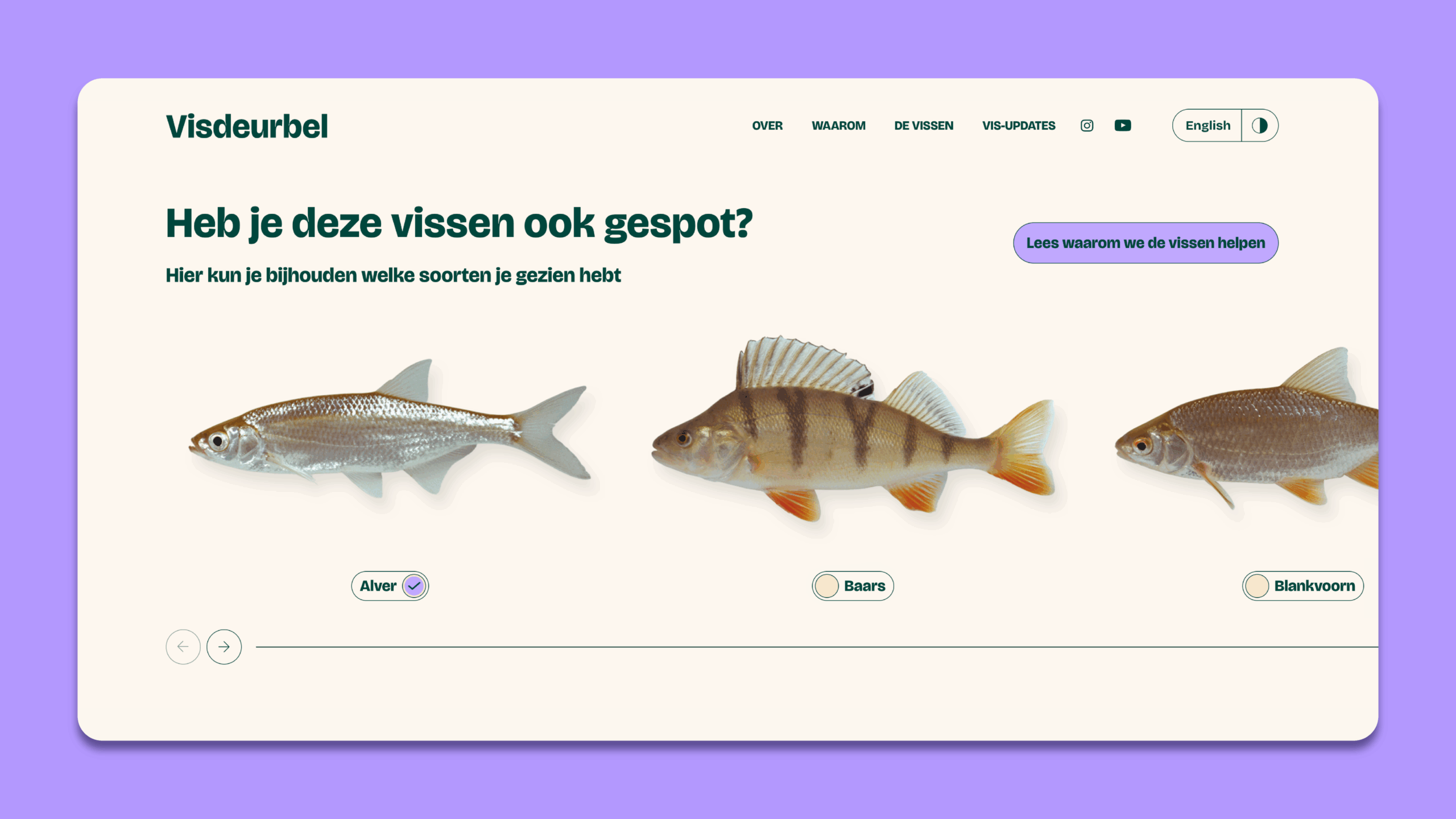 Visdeurbel-site-overzicht